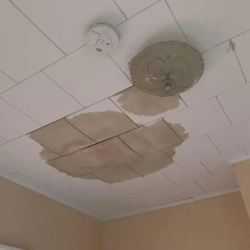 Ceiling Water Damage Repair in Pine Level, NC